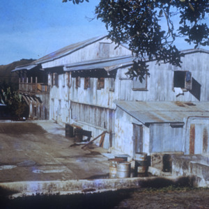 Yauco 1876 Hacienda María-Masini Bo. Rubías 1976 Abruña-1.jpg