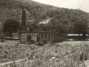 Yauco 1880 Hacienda María-Lluberas Bo. Barinas 1976 Abruña-1.jpg