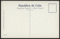 s003.jpg