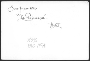 sanj_s226.jpg