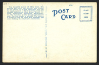 s009.jpg