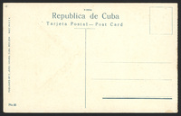 s007.jpg