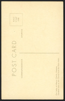 s037.jpg