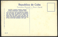s029.jpg