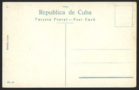 s006.jpg